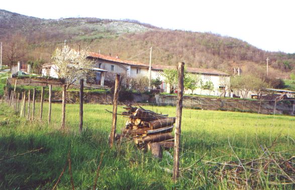 Esterni Azienda Santoro Moliterno